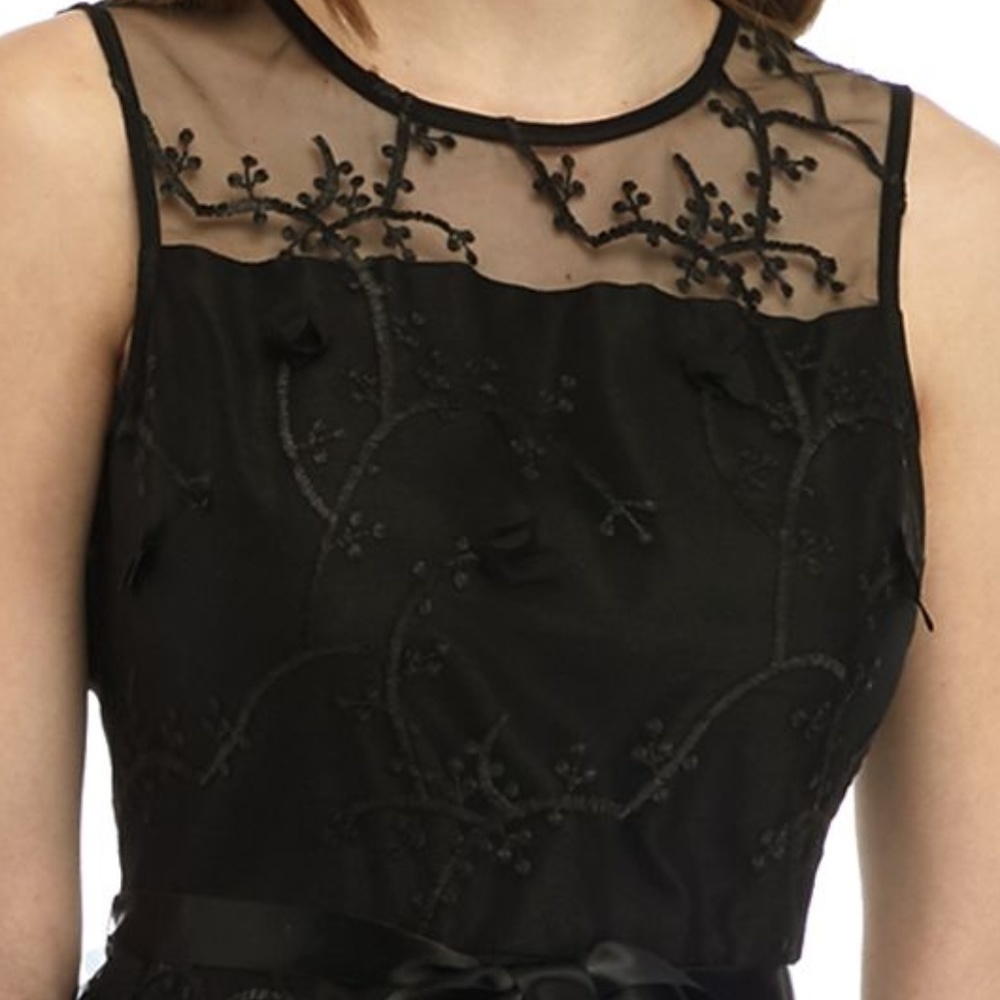 Sleeveless Floral Mesh Fit and Flare Dress - Picture 4 of 5